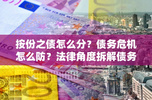 北京按份之债怎么分？债务危机怎么防？法律角度拆解债务分配与风险自保指南