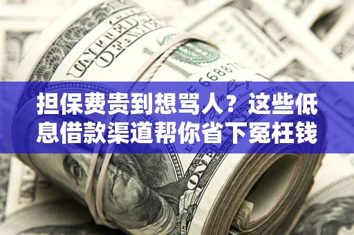 北京担保费贵到想骂人？这些低息借款渠道帮你省下冤枉钱