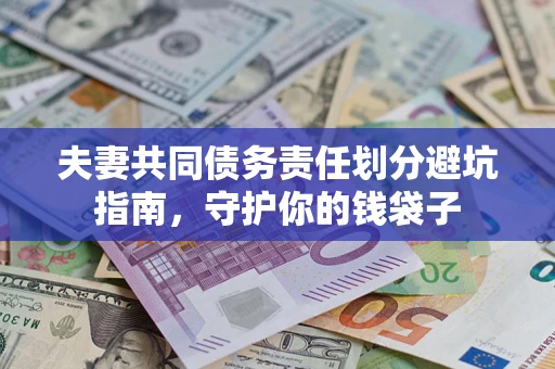 北京夫妻共同债务责任划分避坑指南，守护你的钱袋子