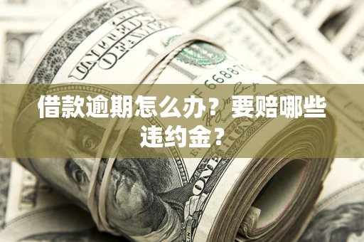 北京借款逾期怎么办？要赔哪些违约金？